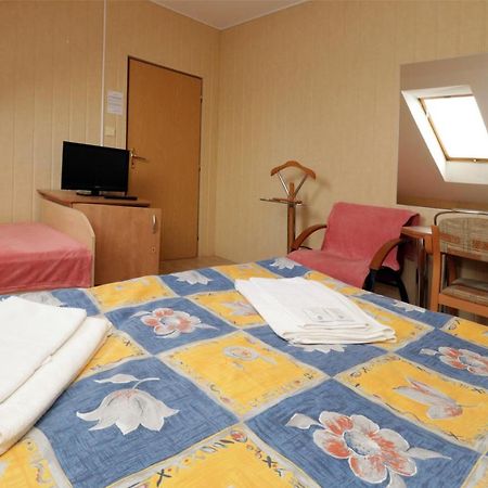Hotel Penzion Hurka à Dolni Libchavy Extérieur photo